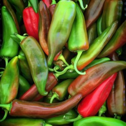 Chiles