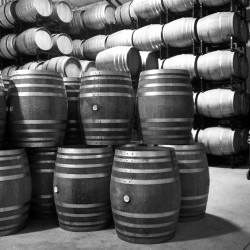 Tyler Barrel Room