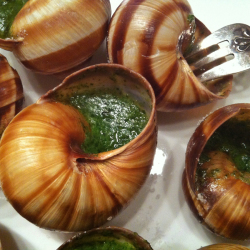 Escargot