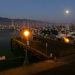 Harbor Moon